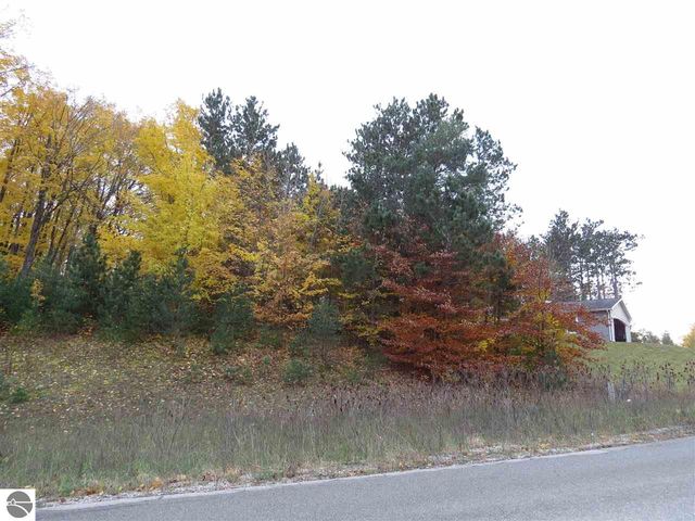 Lot 90 Eden Street, Kingsley, MI 49649