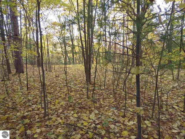 Lot 90 Eden Street, Kingsley, MI 49649