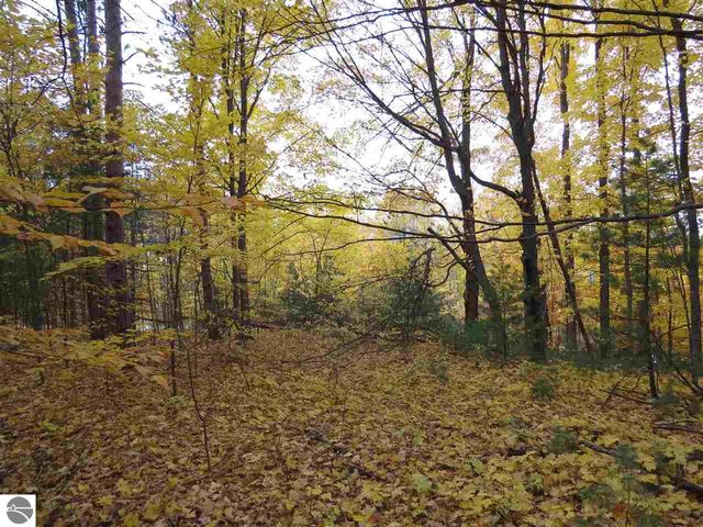 Lot 90 Eden Street, Kingsley, MI 49649