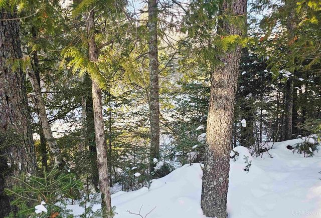 449 S Iron Pin Trail, Gwinn, MI 49841