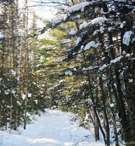 449 S Iron Pin Trail, Gwinn, MI 49841