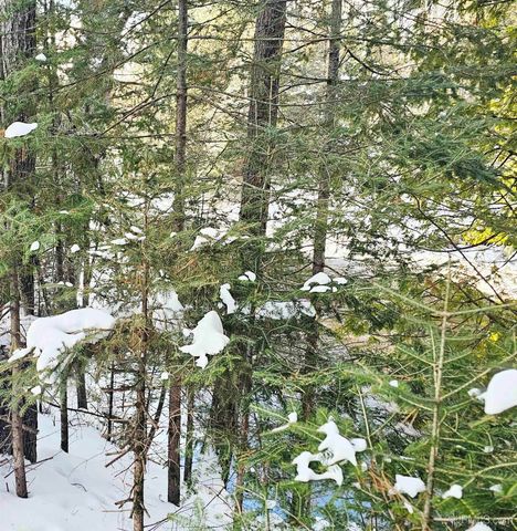 449 S Iron Pin Trail, Gwinn, MI 49841