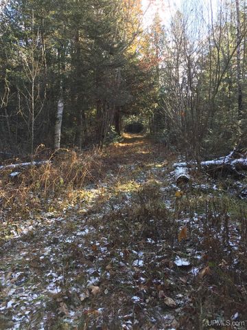 449 S Iron Pin Trail, Gwinn, MI 49841