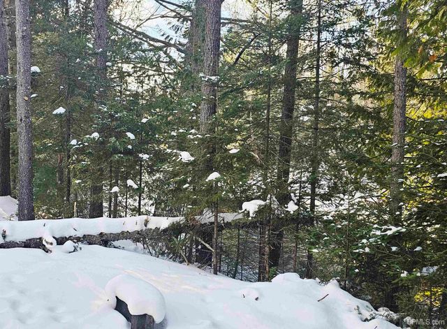 449 S Iron Pin Trail, Gwinn, MI 49841