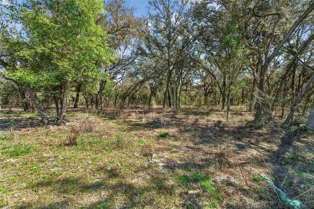 35238 MANUEL STREET, Webster, FL 33597