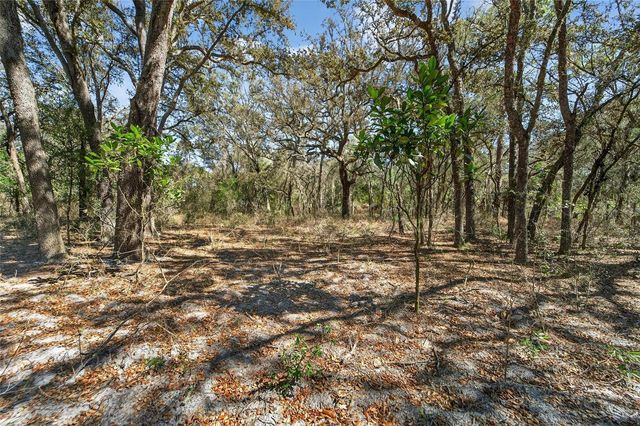 35238 MANUEL STREET, Webster, FL 33597