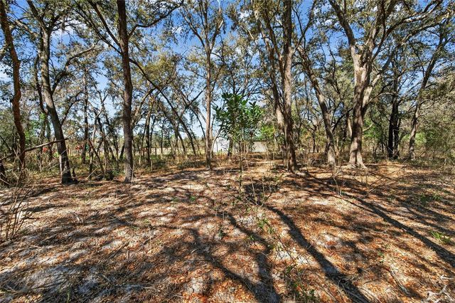 35238 MANUEL STREET, Webster, FL 33597