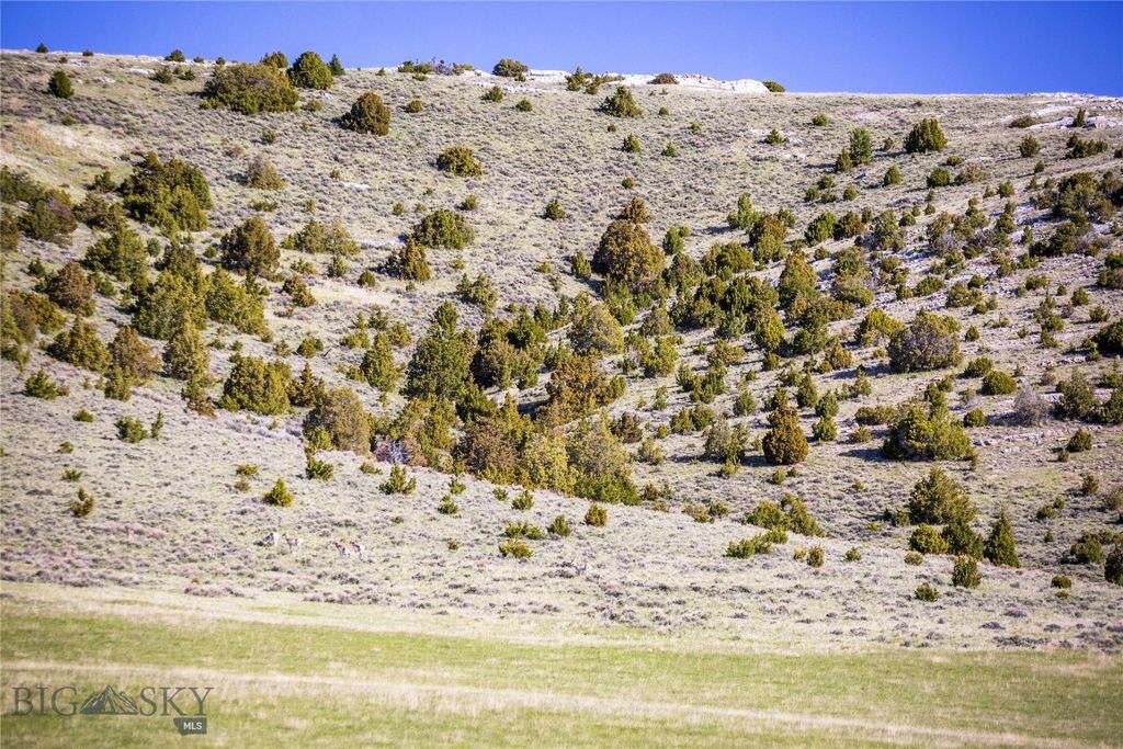 TBD Skinner Road, Belgrade, MT 59714 photo 11