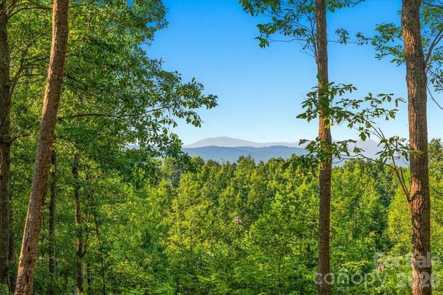 207 Mossy Oak Trail 166, Nebo, NC 28761