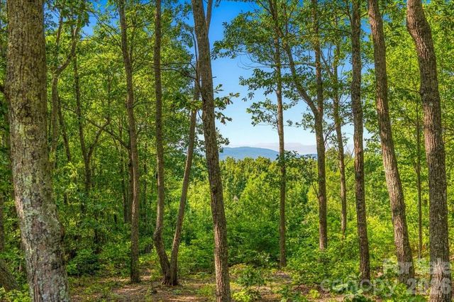 207 Mossy Oak Trail 166, Nebo, NC 28761
