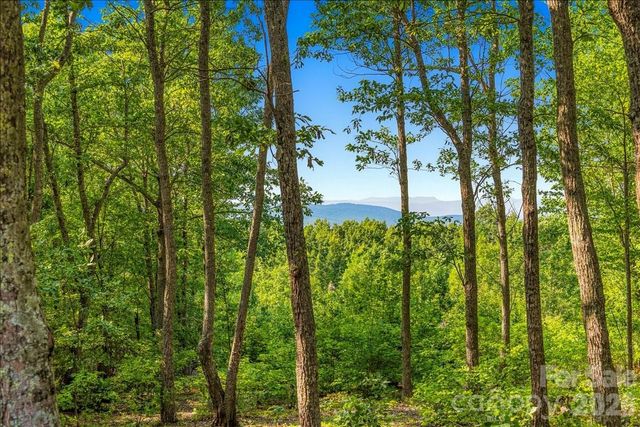 207 Mossy Oak Trail 166, Nebo, NC 28761