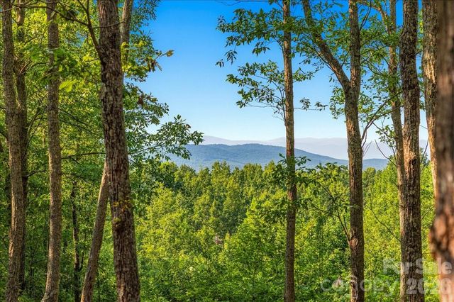 207 Mossy Oak Trail 166, Nebo, NC 28761