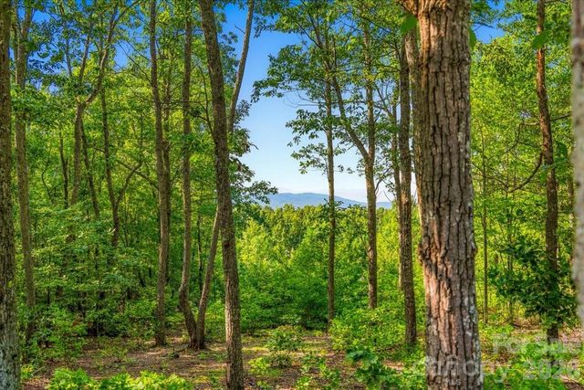 207 Mossy Oak Trail 166, Nebo, NC 28761