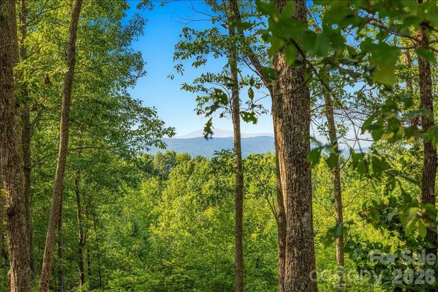 207 Mossy Oak Trail 166, Nebo, NC 28761