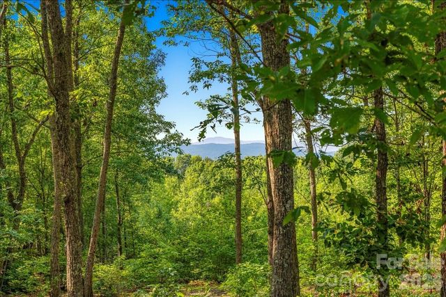 207 Mossy Oak Trail 166, Nebo, NC 28761