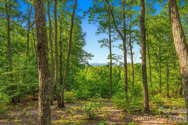 207 Mossy Oak Trail 166, Nebo, NC 28761