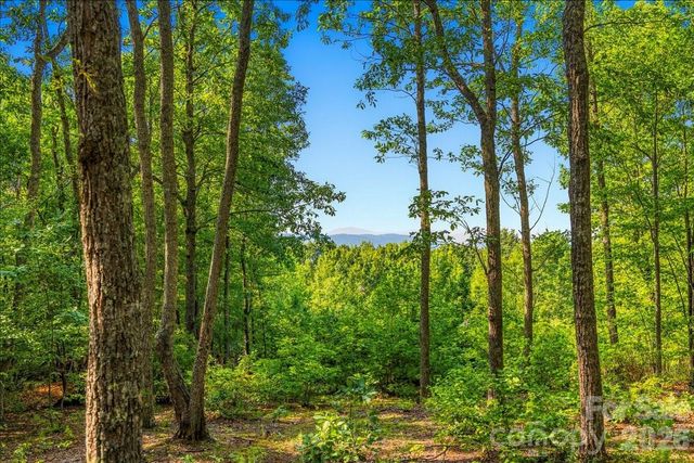 207 Mossy Oak Trail 166, Nebo, NC 28761