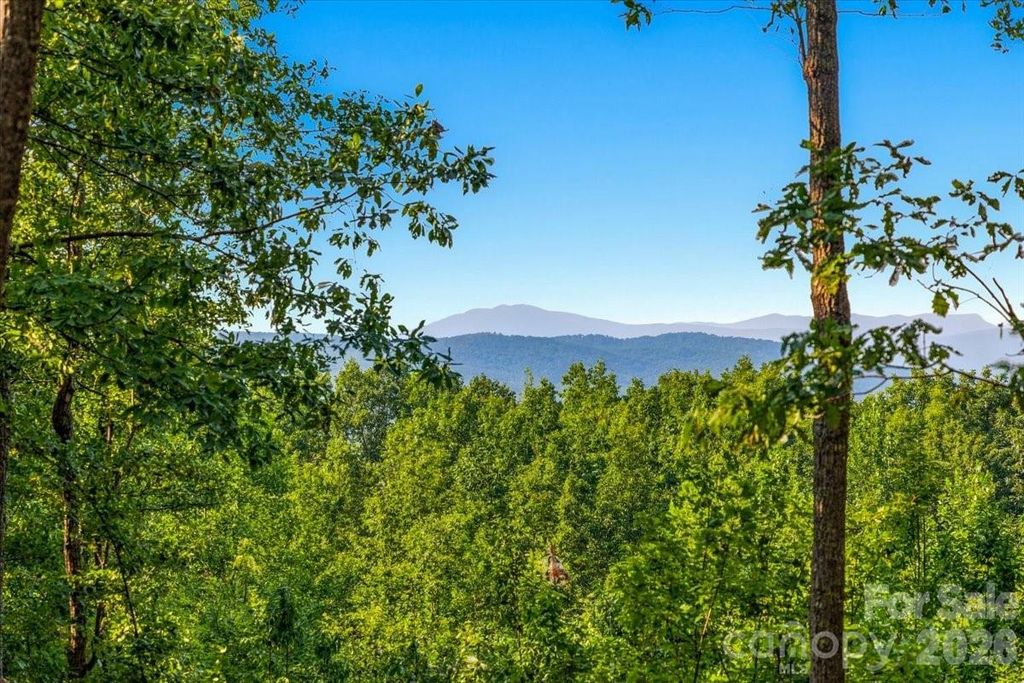 207 Mossy Oak Trail 166, Nebo, NC 28761