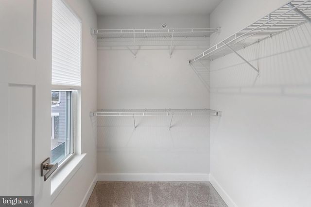 11363 WHEELER RIDGE DR, Manassas, VA 20109