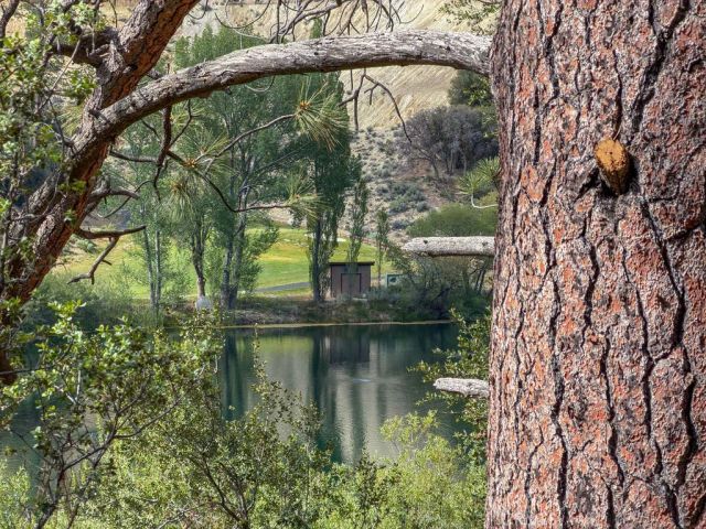 16101 Edgewood, Pine Mountain Club, CA 93222
