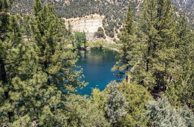16101 Edgewood, Pine Mountain Club, CA 93222