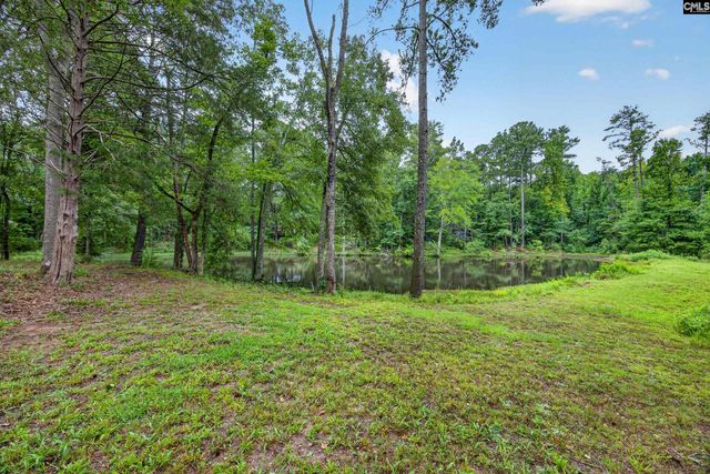 2309 Priceville Road, Gilbert, SC 29054