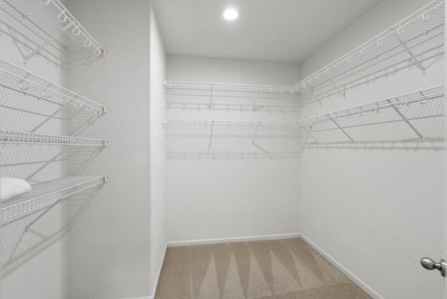 900 Old Oak Lane 3, Hayward, CA 94541