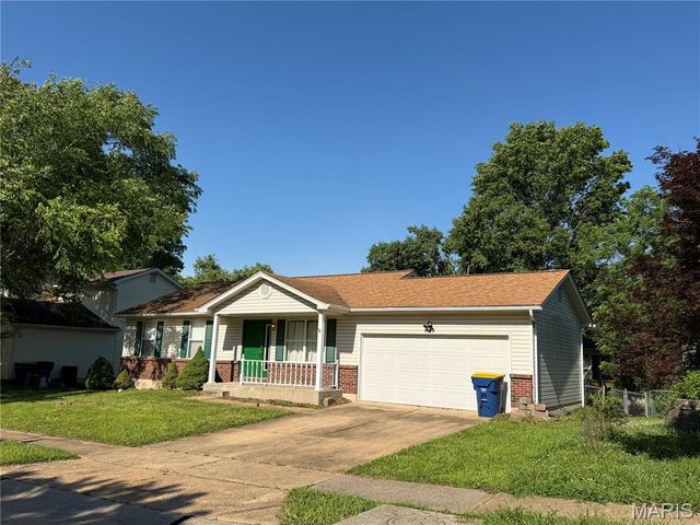 1109 Valentine Street, Festus, MO 63028
