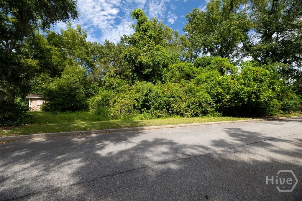 0 Carroll Street Lot 18, Savannah, GA 31405