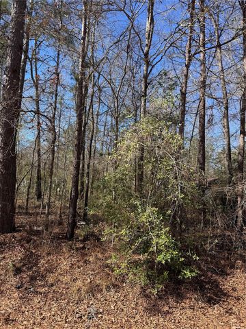 tbd Jaycrest, Livingston, TX 77351