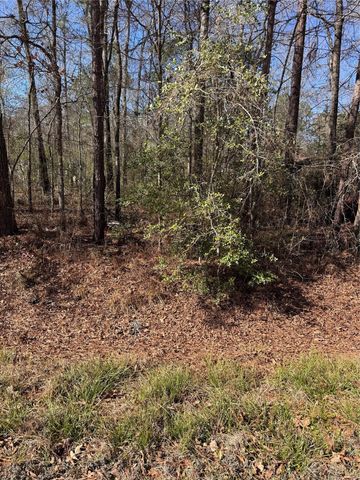 tbd Jaycrest, Livingston, TX 77351