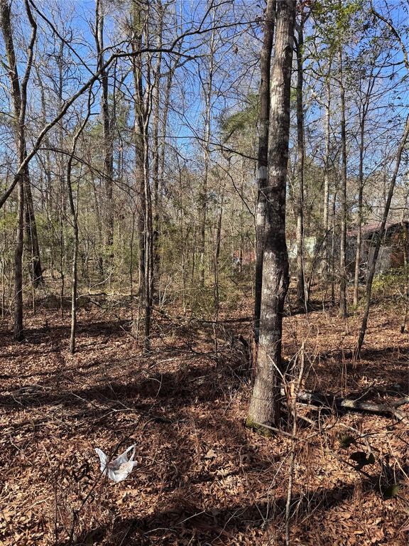 tbd Jaycrest, Livingston, TX 77351