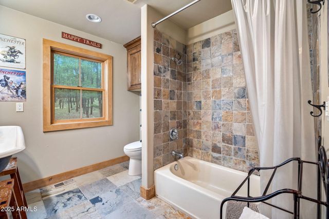 36 Co Rd N2147 --, Alpine, AZ 85920