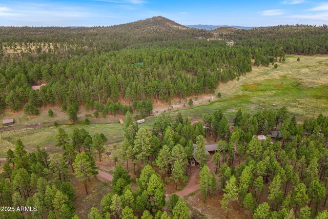 36 Co Rd N2147 --, Alpine, AZ 85920