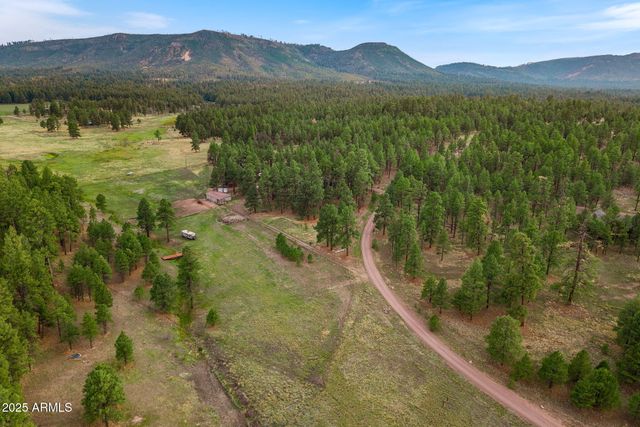 36 Co Rd N2147 --, Alpine, AZ 85920