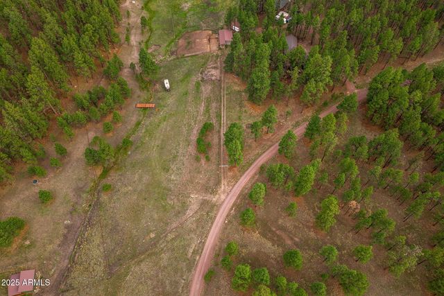 36 Co Rd N2147 --, Alpine, AZ 85920