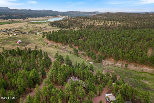 36 Co Rd N2147 --, Alpine, AZ 85920