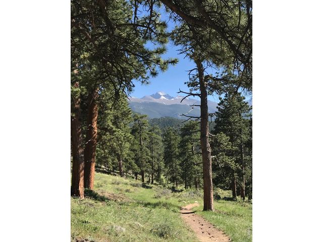 2340 Eagle Cliff Rd, Estes Park, CO 80517