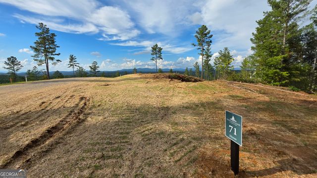 71 Elkton Court, Ellijay, GA 30540