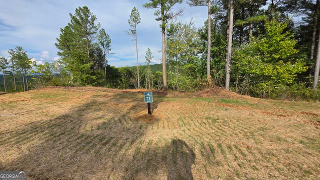 71 Elkton Court, Ellijay, GA 30540