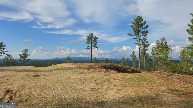 71 Elkton Court, Ellijay, GA 30540