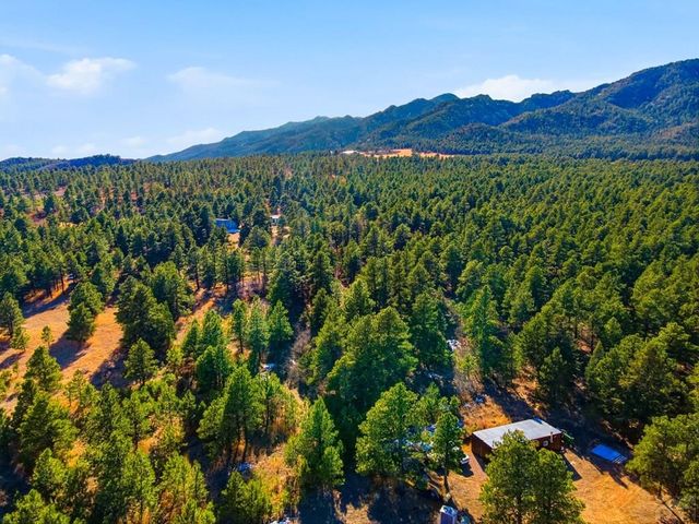 139 Hereford Dr, Rye, CO 81069