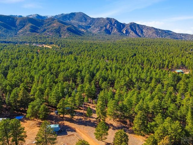 139 Hereford Dr, Rye, CO 81069