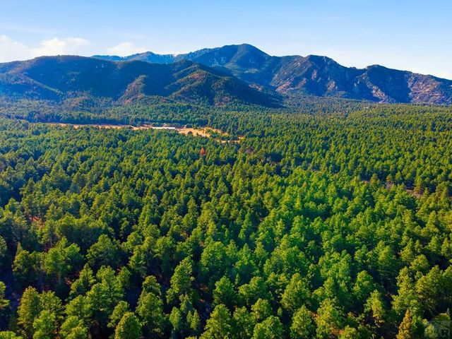 139 Hereford Dr, Rye, CO 81069