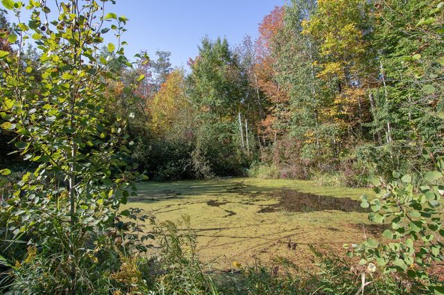 28XXX S Pine View Beach Road, Brook Park, MN 55007