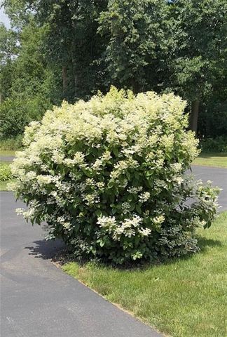 812 Oak Street, Barron, WI 54812