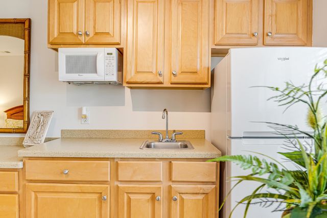 142 Avian Dr Apt 3915, Sunset Beach, NC 28468