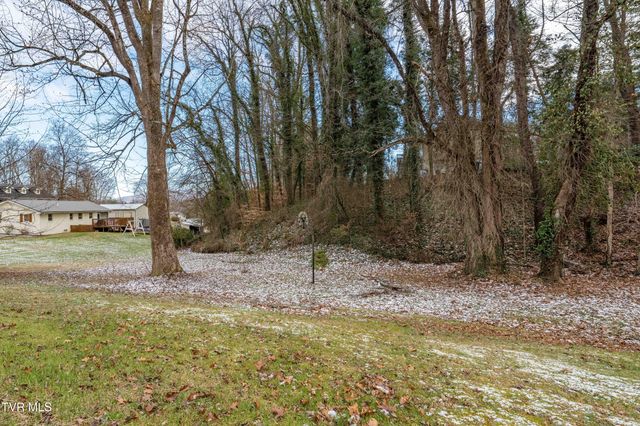 104 Pritchard Drive, Jonesborough, TN 37659