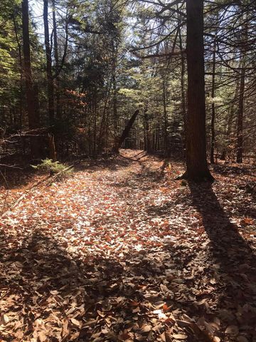 154 Manley Hill Road, West Fairlee, VT 05045