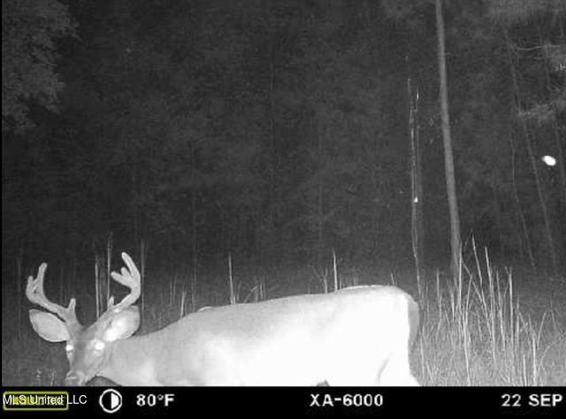 25002 Road 357, Kiln, MS 39556